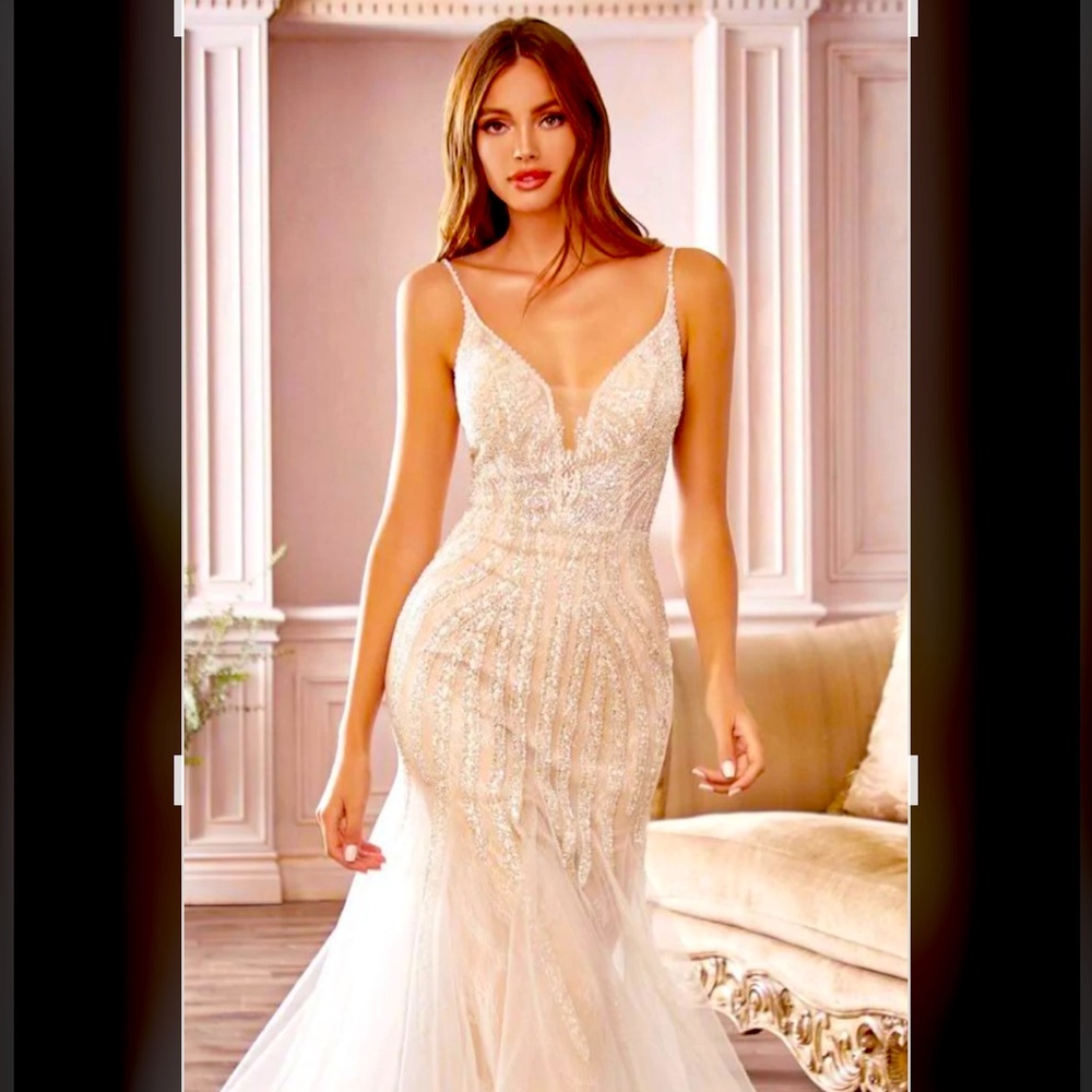 Cinderella Divine Wedding/ Formal Gown